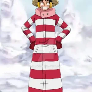 Luffy Winter Outfit